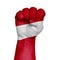 Restrained image of a fist painted in the colors of the flag of Austria. Image on a white background