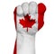 Restrained image of a fist painted in colors of the flag of Canada. Image on a white background