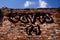 Restraint of normal life and personal restrictions in corona virus crisis: word covid-19 graffiti software generated on red