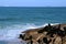 The restricted beach of the fort Copacabana Brazil