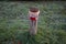 A restrictive roadside pole decorated with knitwear against a background of grass with hoarfrost in November. Berlin, Germany