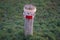 A restrictive roadside pole decorated with knitwear against a background of grass with hoarfrost in November. Berlin, Germany