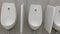 Restroom interior row urinals inside public toilet WC toilet for man hand held shot.