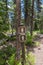 Restroom Signs on Wooden Post