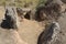 Rests of megalithic dolmen in Gorafe, Granada, Spain