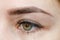 Result of permanent makeup, tattooing of eyebrows