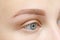 Result of permanent makeup, tattooing of eyebrows