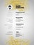 Resume Minimalist CV in gold glitter style, Resume template with