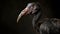 Resurrecting the Past: Captivating Portrait of the Extinct Dodo Bird