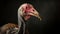Resurrecting the Past: Exquisite Portrait of the Extinct Dodo Bird