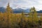 Resurrection River Valley at Exit Glacier, Kenai Fjords National Park, Seward, Alaska, United States