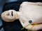 Resuscitation mannequin on a stretcher