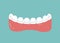 Retainer teeth, dental concept