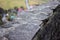 Retaining Wall Detail. Closeup of dry stone wall built with natural flagstones and wallstones of irregular shapes and sizes