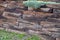 The retaining wall made of wooden sleepers is wooden and forms the edge of the perennial flowerbed. landscaping of brown palisade