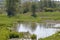 A retention pond near a small creek with reed and trees