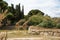 Reticulated Somali Giraffes Walking in Sigean Wildlife Safari Park on a Sunny Spring Day in France