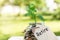 Retire. Glass jar with coins, on a wooden table, on a natural background.