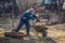 A retired gardener puts the roots of a fruit tree on a wheelbarrow