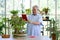 Retired grandfather use tablet computer to take a picture of a new bonsai tree. The morning atmosphere in the greenhouse planting