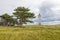 Retired lighthouse at Saksfjed-Hyllekrog nature reserve