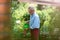 Retired man watering plants in the garden