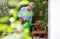 Retired man watering plants in the garden