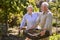 Retired Senior Couple Working In Vegetable Garden Or Allotment Carrying Tray Of Beets