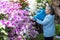 Retired senior woman enjoying watering her blooming orchids in the garden.