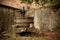 Retired Wine Press, France