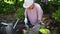 Retired woman planting flowers