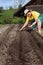 Retired woman planting seeds