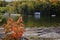 Retirement Living - Maple leafs tree on a rocky shore facing a calm lake with trees and a white cottage in the background