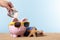 Retirement saving, pension plan, vacation travel planning concept, piggybank