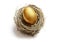 Retirement savings golden nest egg