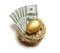 Retirement savings golden nest egg