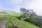 Retreating fog, Sierra Vista Open Space Preserve, south San Francisco bay, California