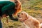 Retriever dog receives a reward for obedience