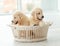 Retriever puppies inside basket