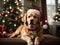 Retriever Radiance: Golden Pups Spreading Christmas Cheer