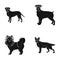 Retriever, terrier, pomeranian, and other web icon in black style.Breed, color, training icons in set collection.