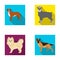Retriever, terrier, pomeranian, and other web icon in flat style.Breed, color, training icons in set collection.