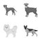 Retriever, terrier, pomeranian, and other web icon in monochrome style.Breed, color, training icons in set collection.