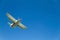 Retro airplain - biplane flying the air against a blue sky, with a fast-turning propeller. View from below