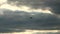 Retro airplane flying against a blue sky with dark storm clouds. sun rays are breaking through the clouds