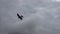 Retro airplane flying in cloudy sky