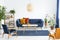 Retro armchairs with wooden frame and colorful pillows on a navy blue sofa in a vibrant living room interior with green plants. Re