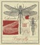 Retro banner with dragonfly and it larva