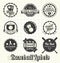 Retro Baseball Labels and Icons