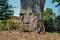 Retro bike leaning against tree